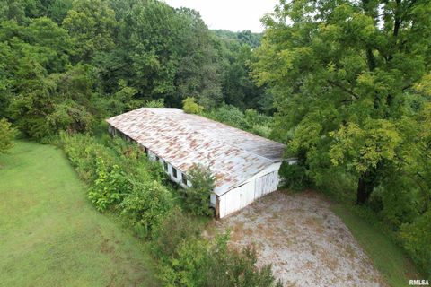 Tiny photo for 200 CRESTVIEW Drive, Dongola, IL 62926 (MLS # EB459378)