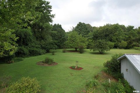 Tiny photo for 200 CRESTVIEW Drive, Dongola, IL 62926 (MLS # EB459378)