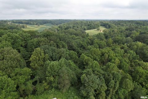 Tiny photo for 200 CRESTVIEW Drive, Dongola, IL 62926 (MLS # EB459378)