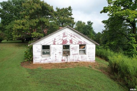 Tiny photo for 200 CRESTVIEW Drive, Dongola, IL 62926 (MLS # EB459378)