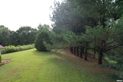 Tiny photo for 200 CRESTVIEW Drive, Dongola, IL 62926 (MLS # EB459378)