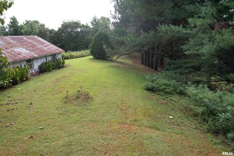 Tiny photo for 200 CRESTVIEW Drive, Dongola, IL 62926 (MLS # EB459378)