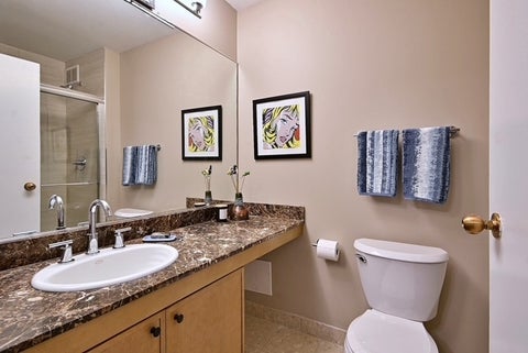 Tiny photo for 401 E Ontario Street #2210, Chicago, IL 60611 (MLS # 12771767)