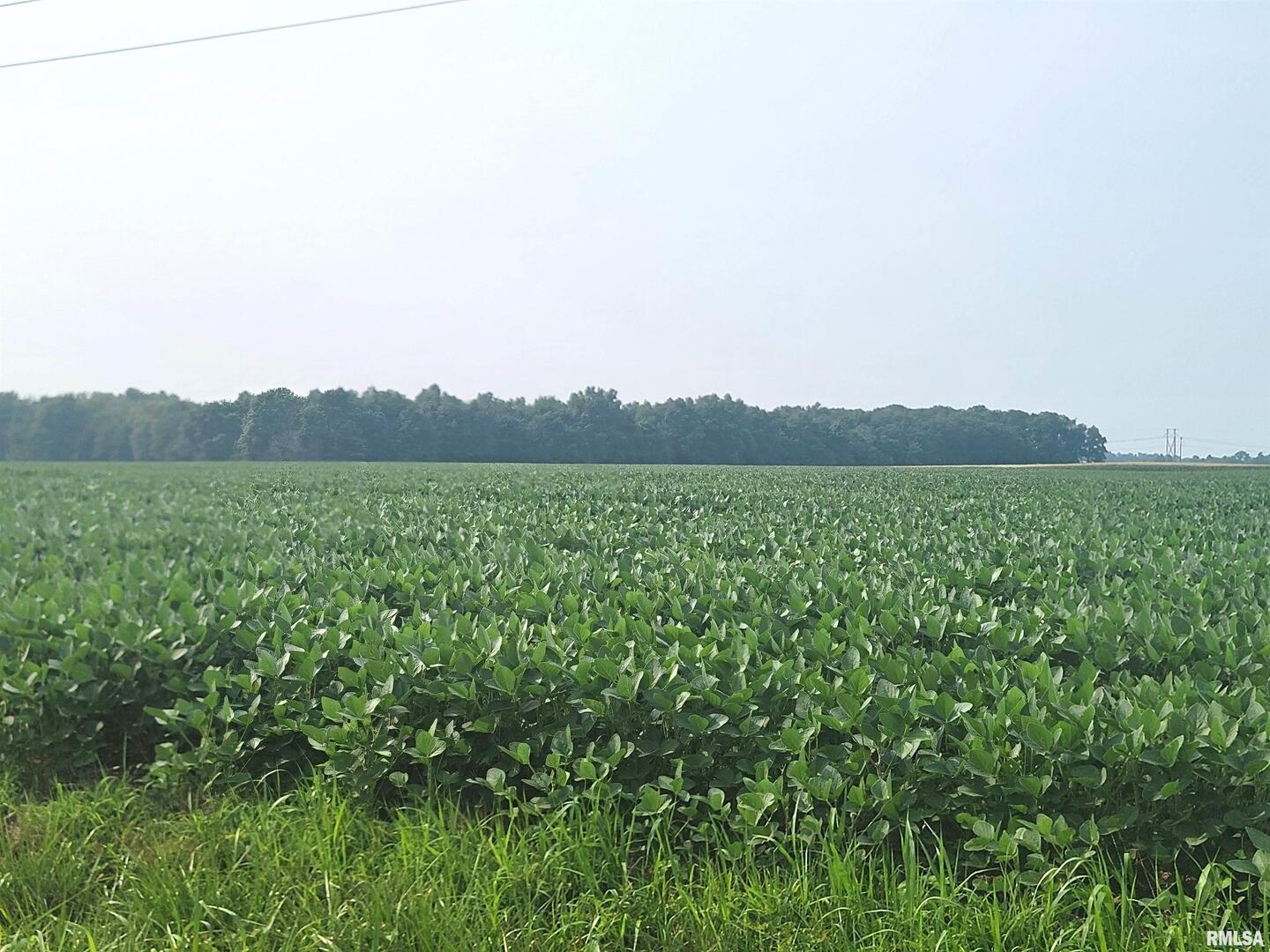 0 Gravel Lane