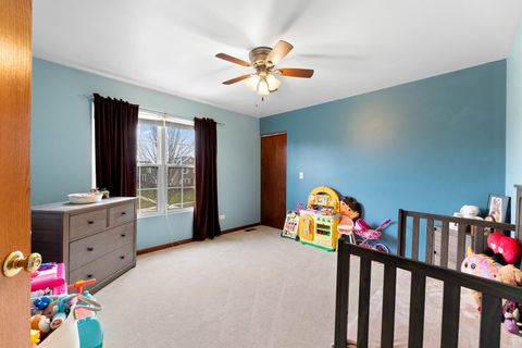 Tiny photo for 1158 Indian Grass Court, Minooka, IL 60447 (MLS # 12523286)