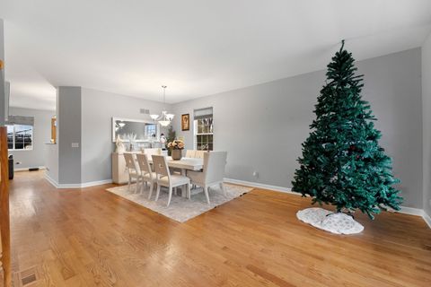 Tiny photo for 1158 Indian Grass Court, Minooka, IL 60447 (MLS # 12523286)