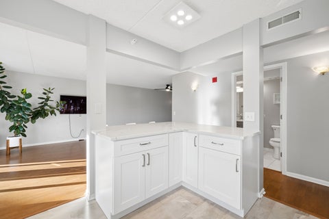 Tiny photo for 10 S Wille Street #309, Mount Prospect, IL 60056 (MLS # 12772684)