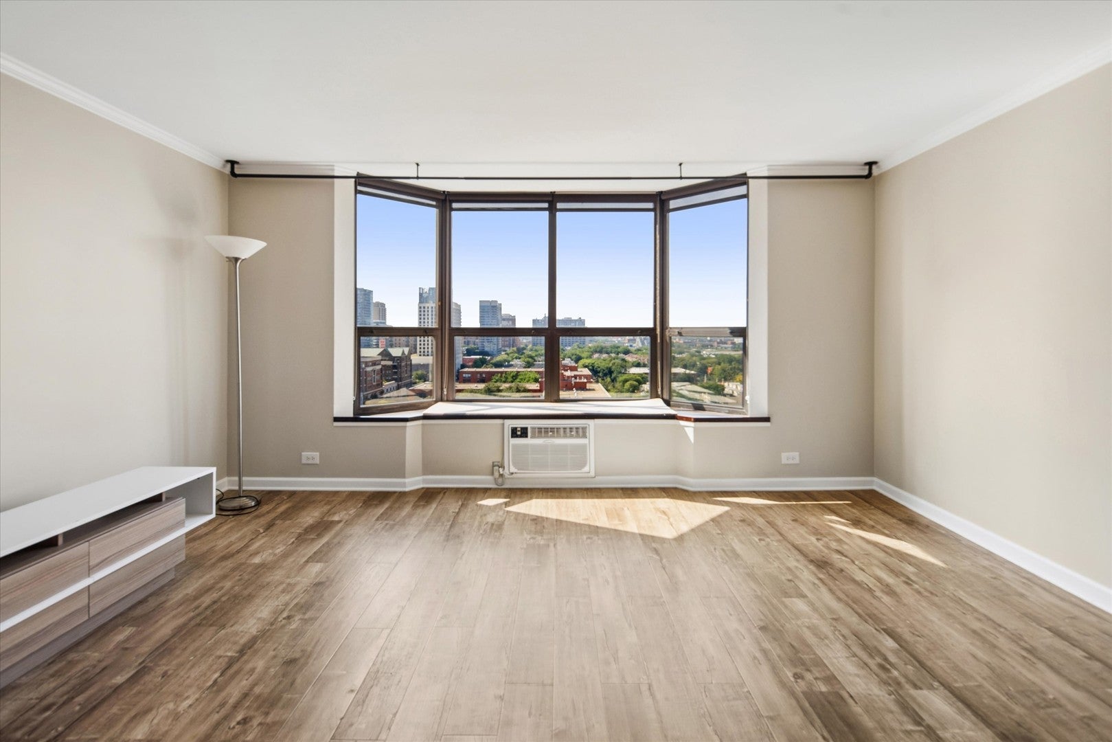 901 S PLYMOUTH Court 1101