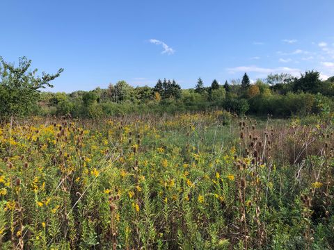 8 Alexandra Drive Mettawa IL 60048