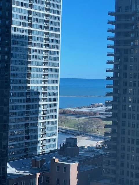 505 N MCCLURG Court 2106