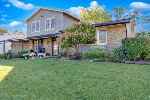 Tiny photo for 1453 Armstrong Lane, Elk Grove Village, IL 60007 (MLS # 12500249)