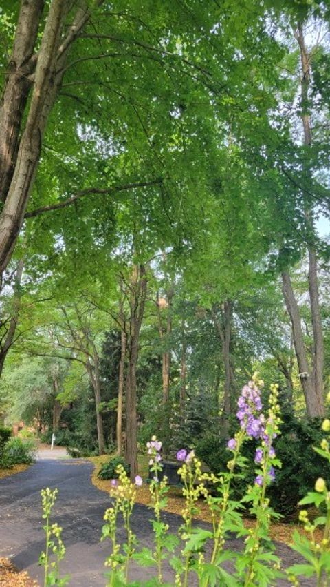 Tiny photo for 4910 Taffy Court, Richmond, IL 60071 (MLS # 12571640)