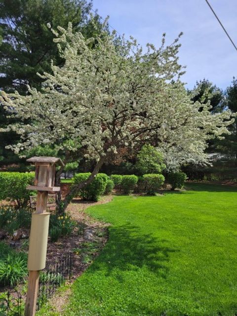 Tiny photo for 4910 Taffy Court, Richmond, IL 60071 (MLS # 12571640)