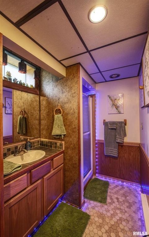 Tiny photo for 2211 613TH Avenue, Sabula, IA 52070 (MLS # QC4266297)