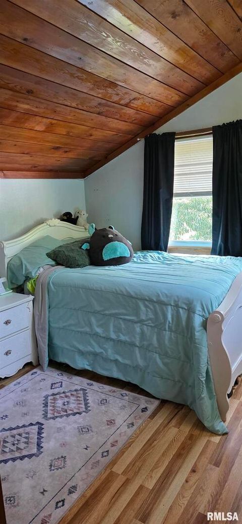 Tiny photo for 2211 613TH Avenue, Sabula, IA 52070 (MLS # QC4266297)