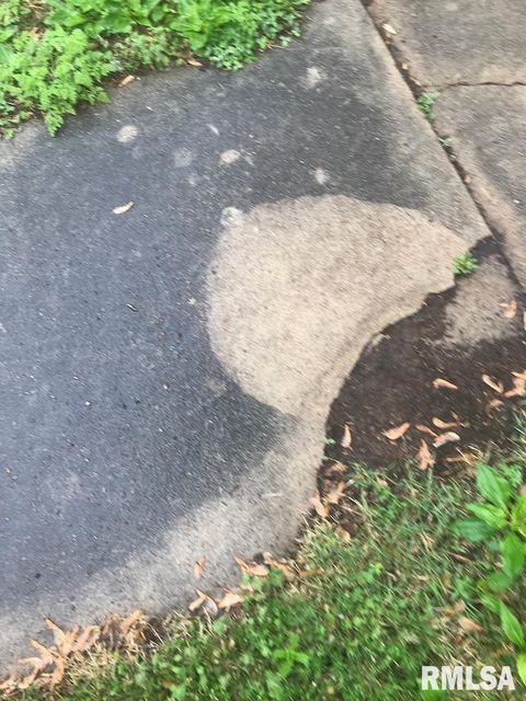 Tiny photo for 1912 Hortense Street, Murphysboro, IL 62966 (MLS # EB450757)