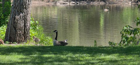 Tiny photo for 2857 River Road, Kankakee, IL 60901 (MLS # 12725214)