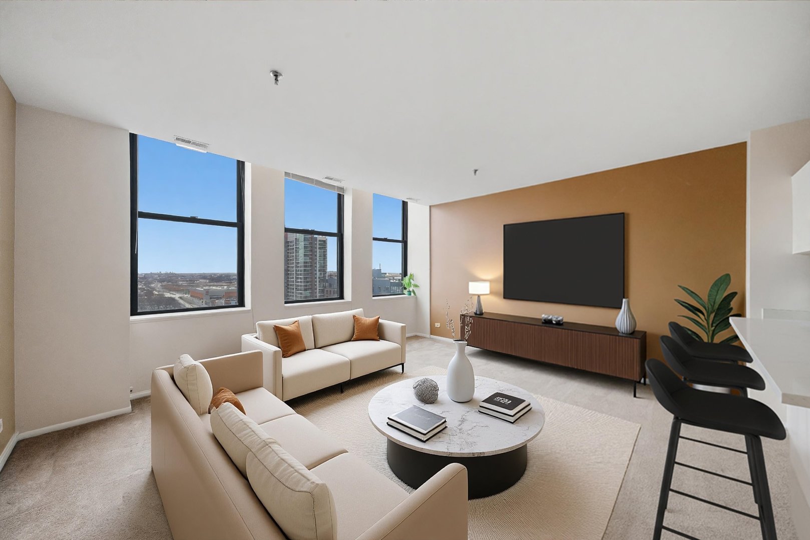 780 S Federal Street 1209