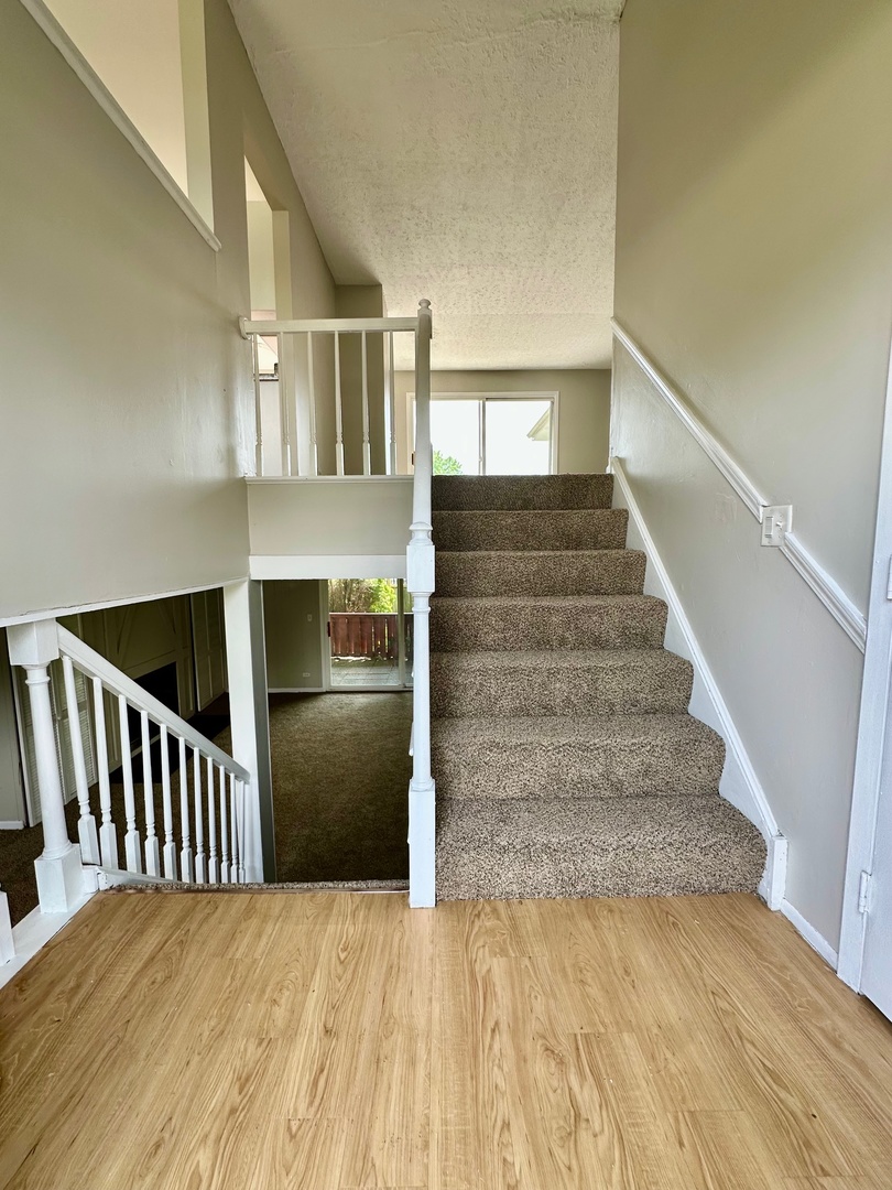 2363 Cove Drive