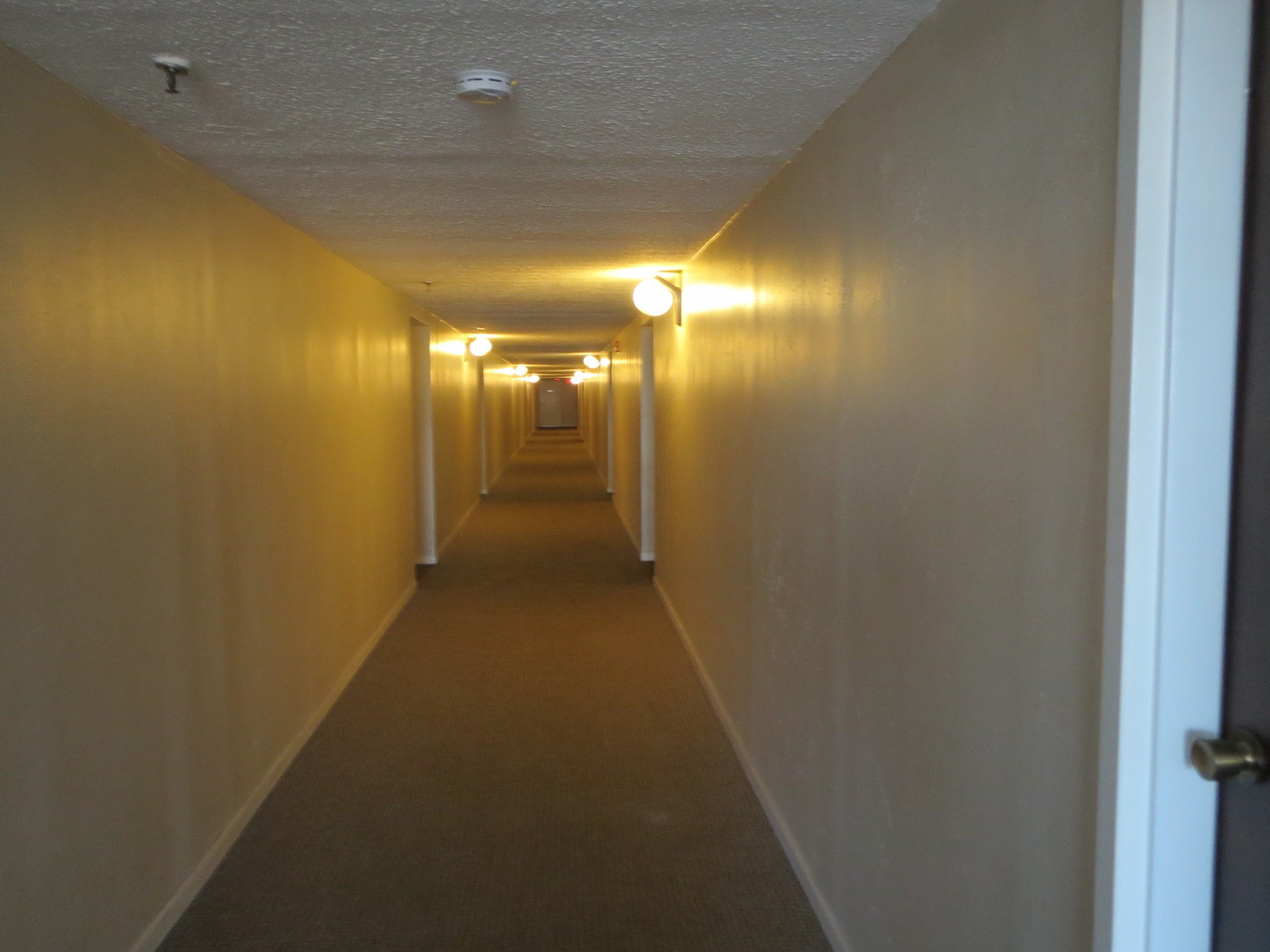 1450 PLYMOUTH Lane 509
