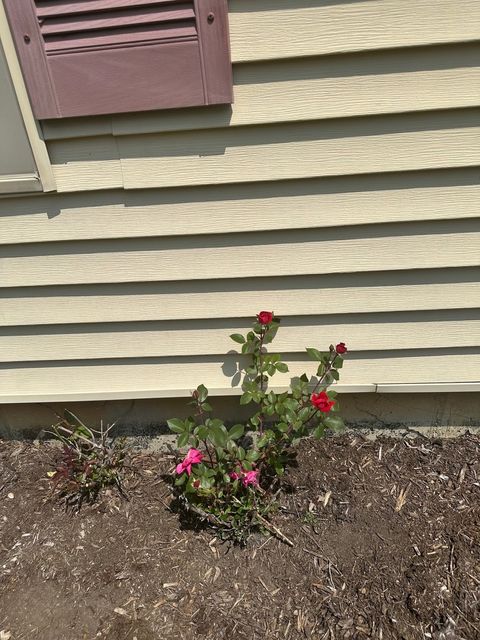 Tiny photo for 640 Sanders Court, Gurnee, IL 60031 (MLS # 12541562)