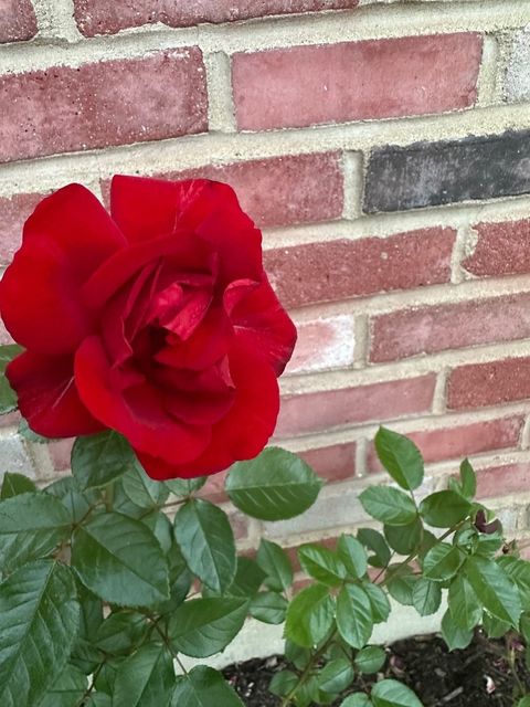 Tiny photo for 640 Sanders Court, Gurnee, IL 60031 (MLS # 12541562)