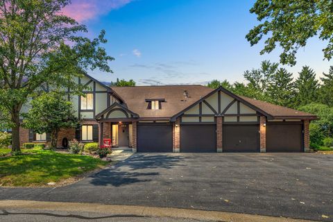 11210 S Cherry Court 52A Palos Hills IL 60465