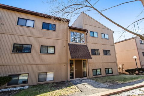 Tiny photo for 55 Vail Colony #6, Fox Lake, IL 60020 (MLS # 12545064)