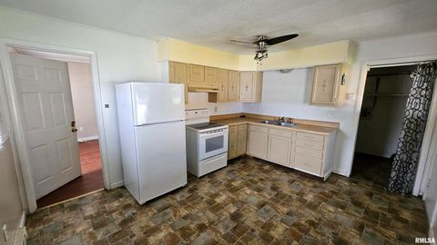 Tiny photo for 85 Yakima Circle, Mcclure, IL 62957 (MLS # EB453400)