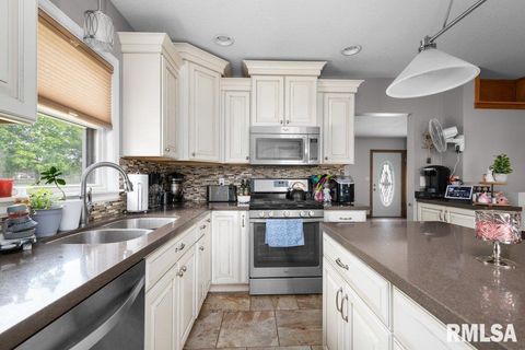 Tiny photo for 3430 W LOCUST Street, Davenport, IA 52804 (MLS # QC4263350)