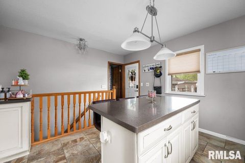 Tiny photo for 3430 W LOCUST Street, Davenport, IA 52804 (MLS # QC4263350)