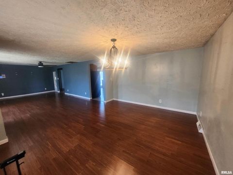 Tiny photo for 3 S Beaucoup Street, Pinckneyville, IL 62274 (MLS # EB459558)