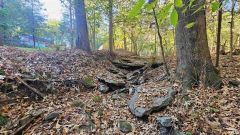 Tiny photo for 526 Power Plant Road, Marion, IL 62959 (MLS # EB460087)