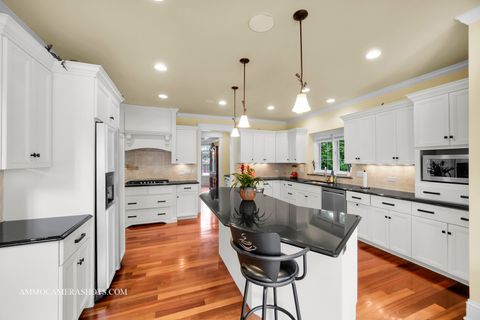 Tiny photo for 3707 Junebreeze Lane, Naperville, IL 60564 (MLS # 12425053)