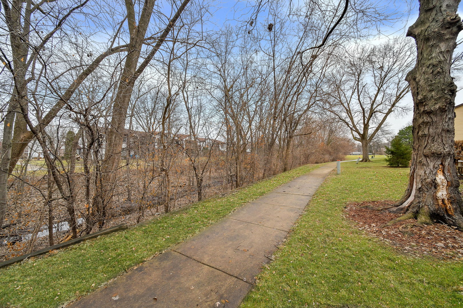 95 Midhurst Court 101B