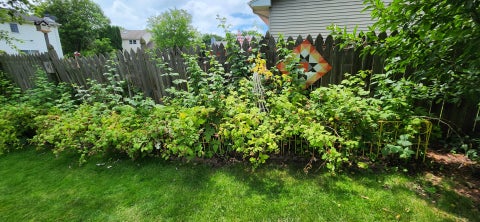 Tiny photo for 3491 Fairway Drive, Crete, IL 60417 (MLS # 12691893)