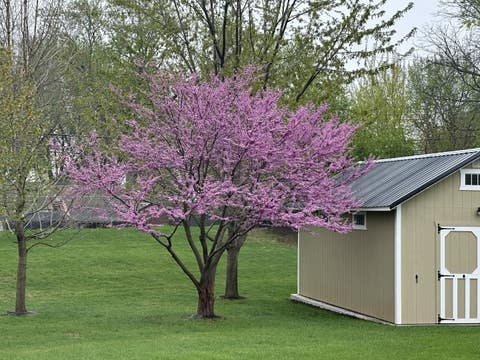 Tiny photo for 1549 Sawgrass Court, Elgin, IL 60123 (MLS # 12689211)