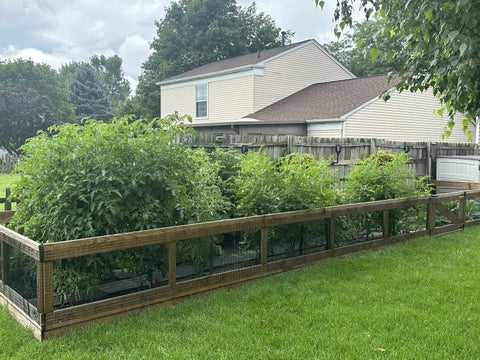 Tiny photo for 1549 Sawgrass Court, Elgin, IL 60123 (MLS # 12689211)