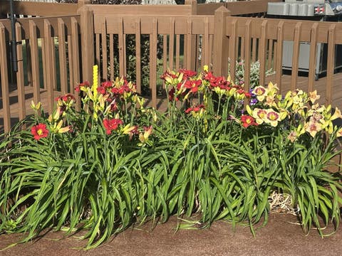 Tiny photo for 1549 Sawgrass Court, Elgin, IL 60123 (MLS # 12689211)