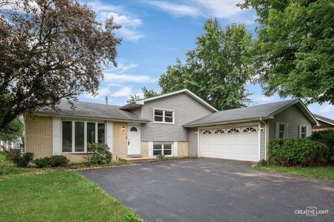 Photo of 23545 W Rueben Street, Plainfield, IL 60586 (MLS # 12419844)