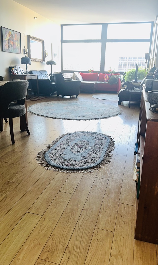 680 N Lake Shore Drive 1125
