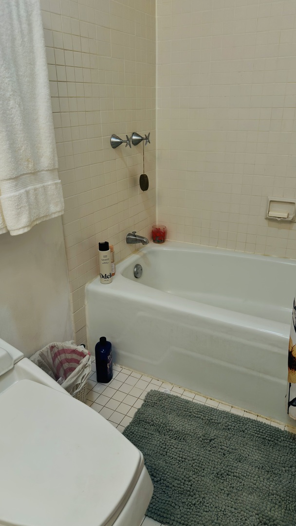 Chicago, Illinois 60611, United States, 2 Bedrooms Bedrooms, ,2 BathroomsBathrooms,Residential,Active,216251