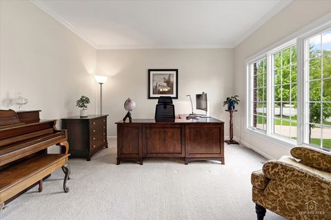 Tiny photo for 3848 Junebreeze Lane, Naperville, IL 60564 (MLS # 12637797)