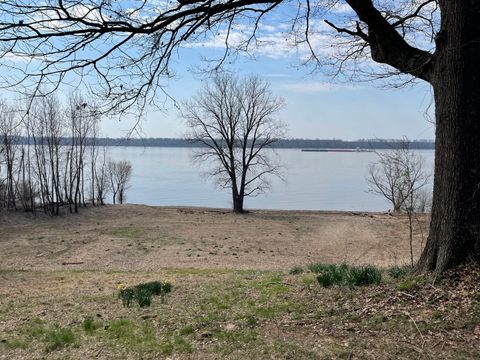 Tiny photo for 3562 Riverview Lake Road, Metropolis, IL 62960 (MLS # 12615934)