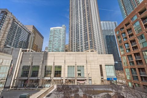Tiny photo for Chicago, IL 60611 (MLS # 12576712)