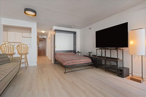 Tiny photo for Chicago, IL 60611 (MLS # 12576712)