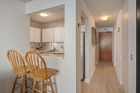 Tiny photo for Chicago, IL 60611 (MLS # 12576712)