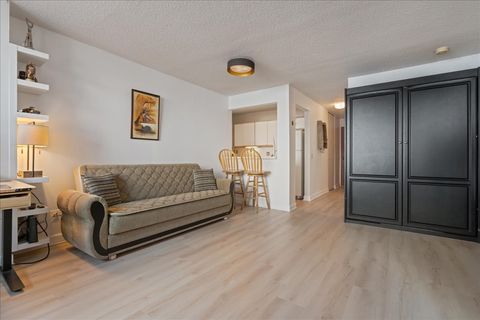 Tiny photo for Chicago, IL 60611 (MLS # 12576712)