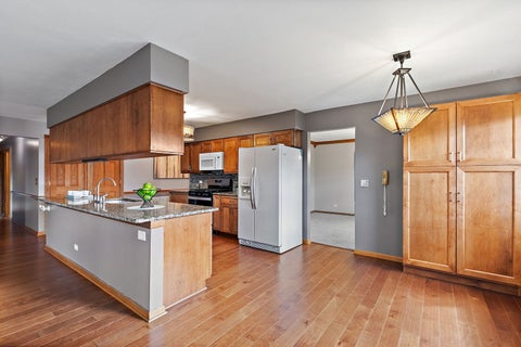 Tiny photo for 104 Millis Lane, Schaumburg, IL 60193 (MLS # 12780240)