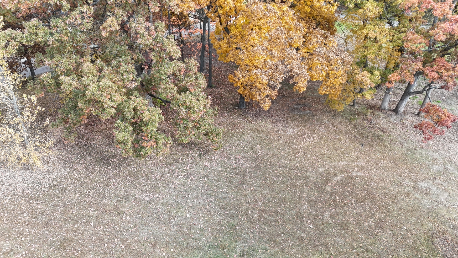 867 & 868 Lake Holiday Drive